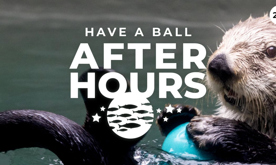 After Hours Premier: Pride Celebration 2